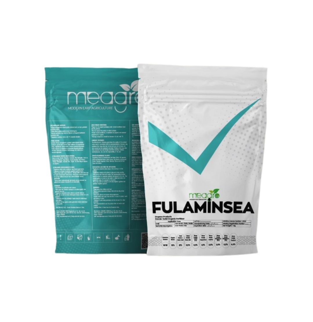 Fulaminsea